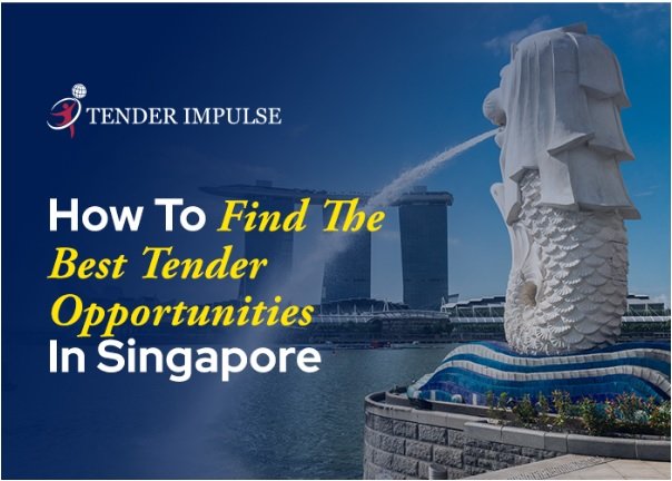 How to Find the Best Tender Opportunities in Singapore