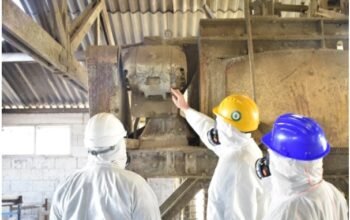 Asbestos Removal Contractors